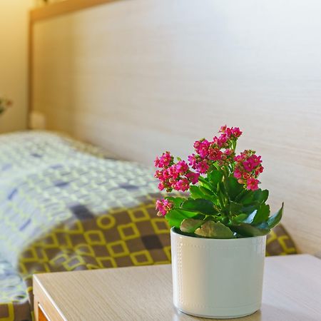 Alianthos Beach Hotel Plakiász Kültér fotó