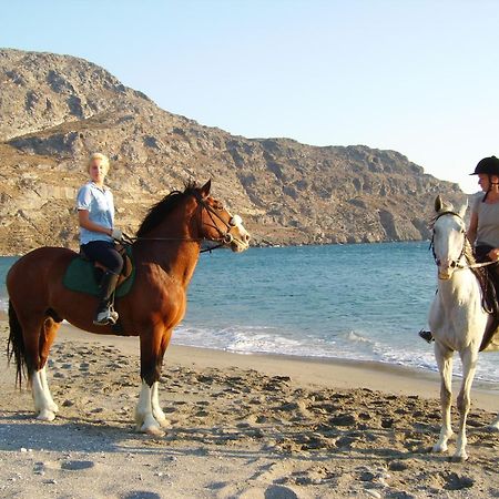 Alianthos Beach Hotel Plakiász Kültér fotó