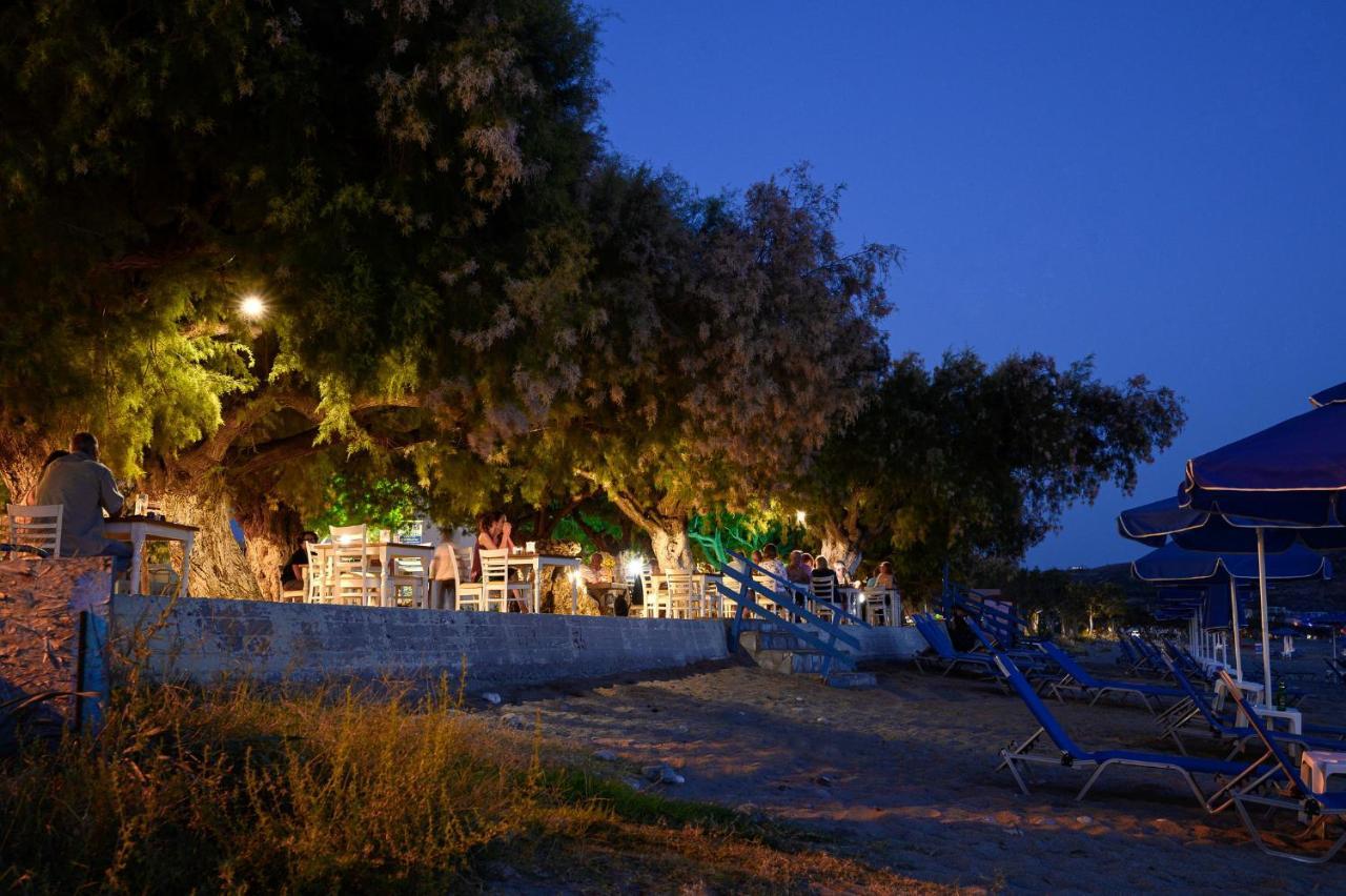 Alianthos Beach Hotel Plakiász Kültér fotó