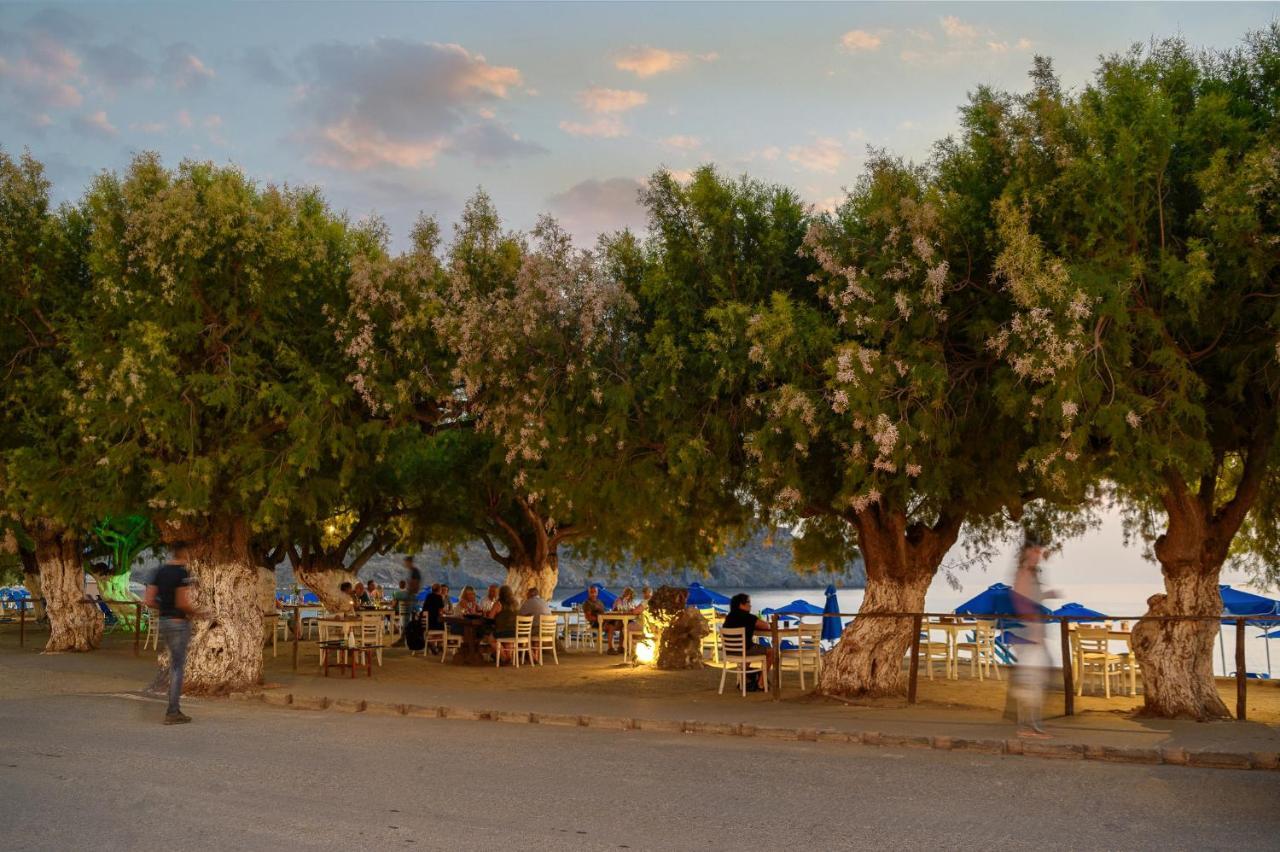 Alianthos Beach Hotel Plakiász Kültér fotó