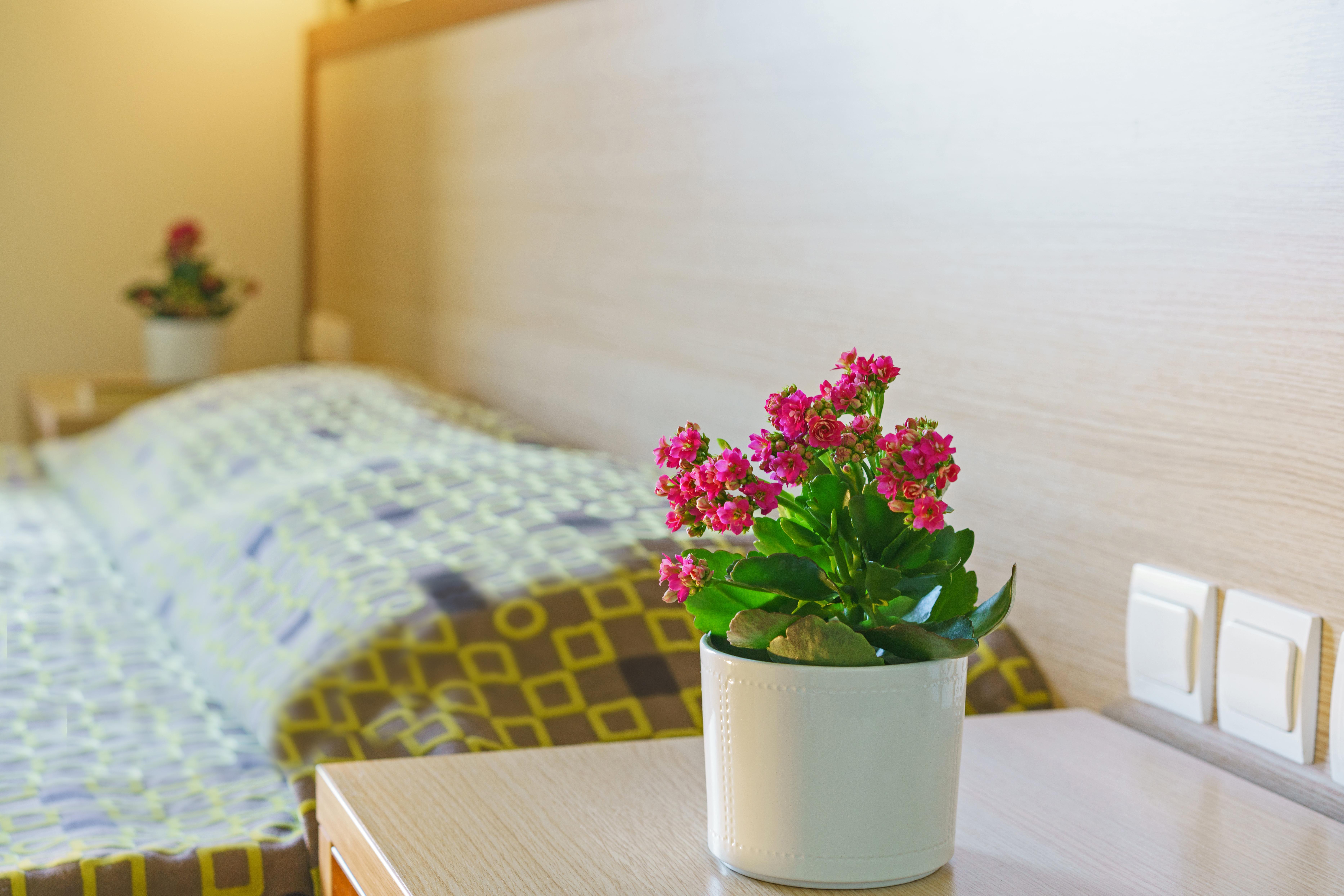 Alianthos Beach Hotel Plakiász Kültér fotó
