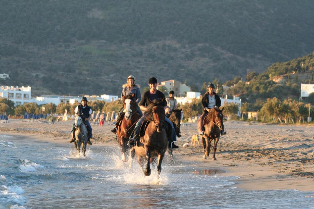 Alianthos Beach Hotel Plakiász Kültér fotó